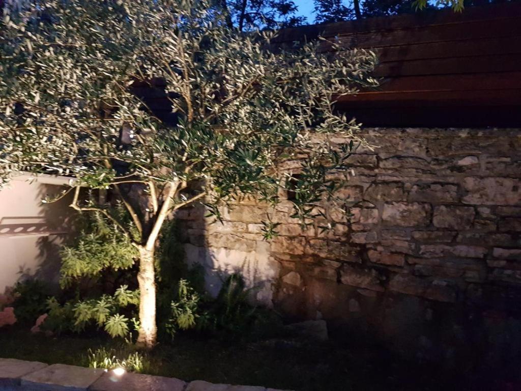 Haus Delma Villa Brajkovici  Eksteriør bilde